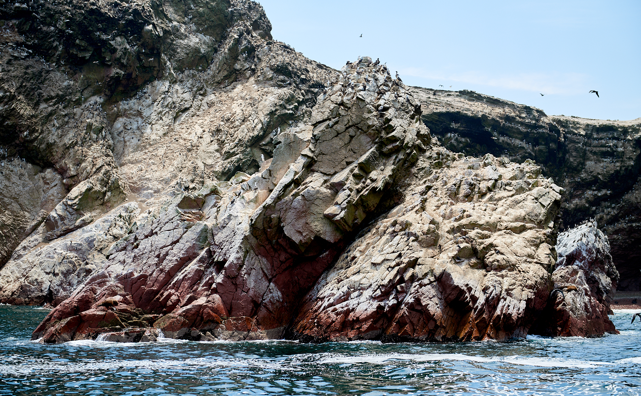 20200304 167 [페루] 바예스타섬